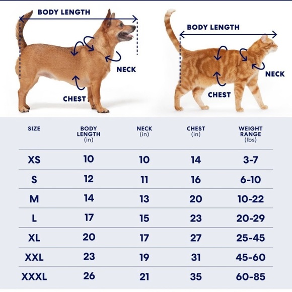 Beach Vibes Dog & Cat Dress-NWT - Picture 7 of 9